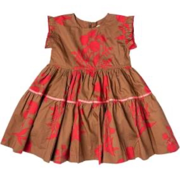 Pink Chicken Polly Dress NWT